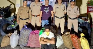 अल्मोड़ा-(बड़ी खबर):: 21 लाख से अधिक कीमत की गांजा के साथ एक तस्कर गिरफ्तार, दूसरा पुलिस को चकमा देकर फरार
