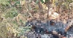 हत्या या आत्महत्या, महिला का अधजला शव मिलने से मचा हड़कंप