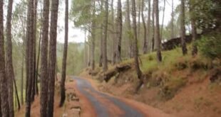 बिनसर सेंचुरी के नजदीकी गांवों में जंगली जानवरों की बढ़ती चहलकदमी पर जताई चिंता, ग्रामीणों से सावधानी बरतने की अपील