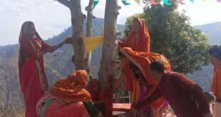 एक विवाह ऐसा भी: पीपल बना दूल्हा, वट वृक्ष दुल्हन… जानिए अल्मोड़ा में हुई इस अनोखी शादी के बारे में