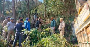 Almora breaking: खाई में गिरा पिकअप वाहन, पांच लोग घायल