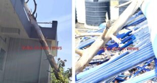 अभी-अभी: अल्मोड़ा में घर पर गिरा चीड़ का सूखा पेड़, बाल-बाल बचा परिवार, पढ़ें पूरी खबर