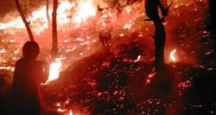 हंस फाउंडेशन के फायर फाइटरों ने दिखाई बहादुरी, ग्रामीणों संग मिलकर बुझाई आग