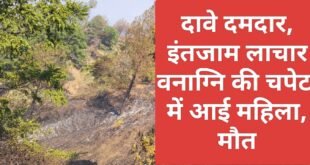 कागजी दावों के बीच सुलगता पहाड़, वनाग्नि की चपेट में आने से महिला की मौत, कब जागेगी सरकार?