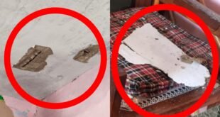 जीआईसी लोधिया में बड़ा हादसा टला, भरभराकर गिरा जर्जर छत का प्लास्टर, बाल-बाल बचे शिक्षक
